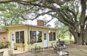 A cozy patio with a swing and outdoor seating under large tree branches.